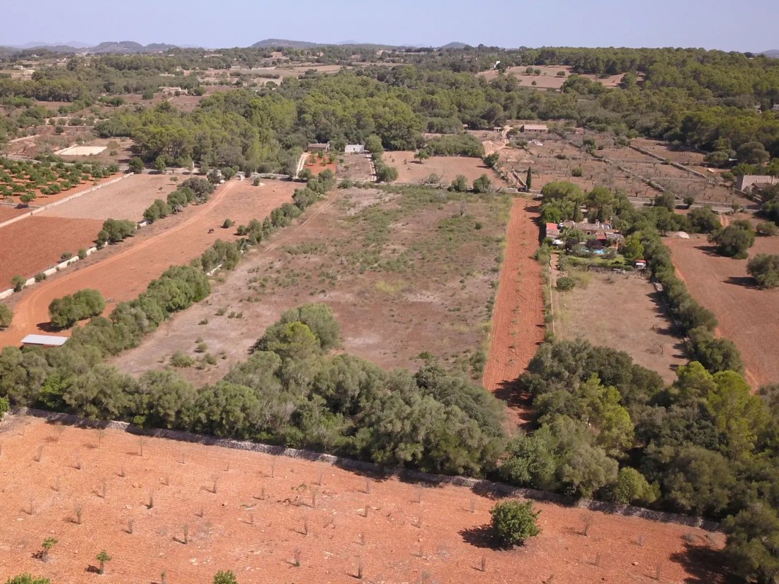 Land in Algaida, Balearic Islands, Spain 1 - 17795204
