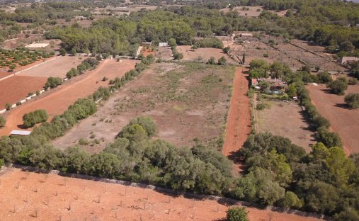 Land in Algaida, Balearic Islands, Spain 1