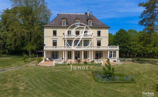 Castle in Briand Leclerc, Sens, France 1