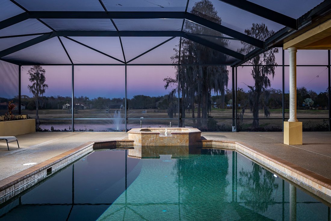 House in Odessa, Florida, United States 5 - 17324143