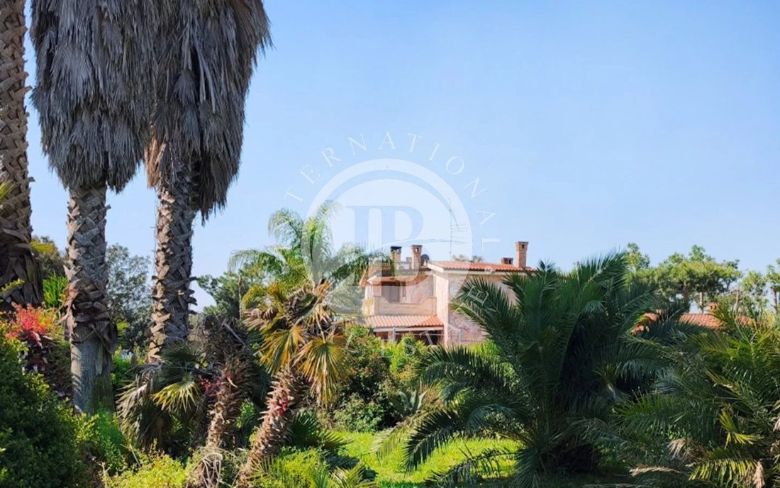 Apartment in Manduria, Apulia, Italy 3 - 17796303