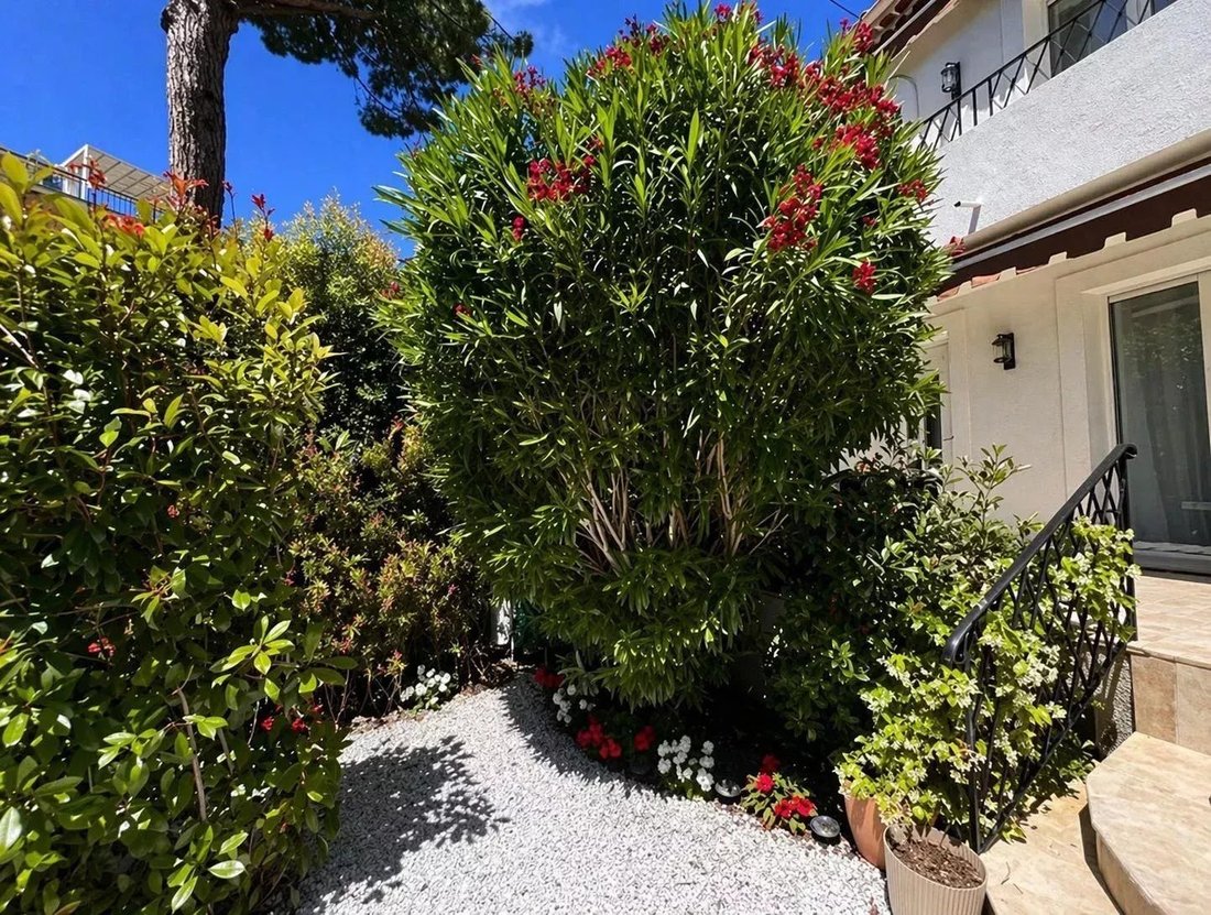 Townhouse in Cannes, Provence-Alpes-Côte d'Azur, France 3 - 17798556