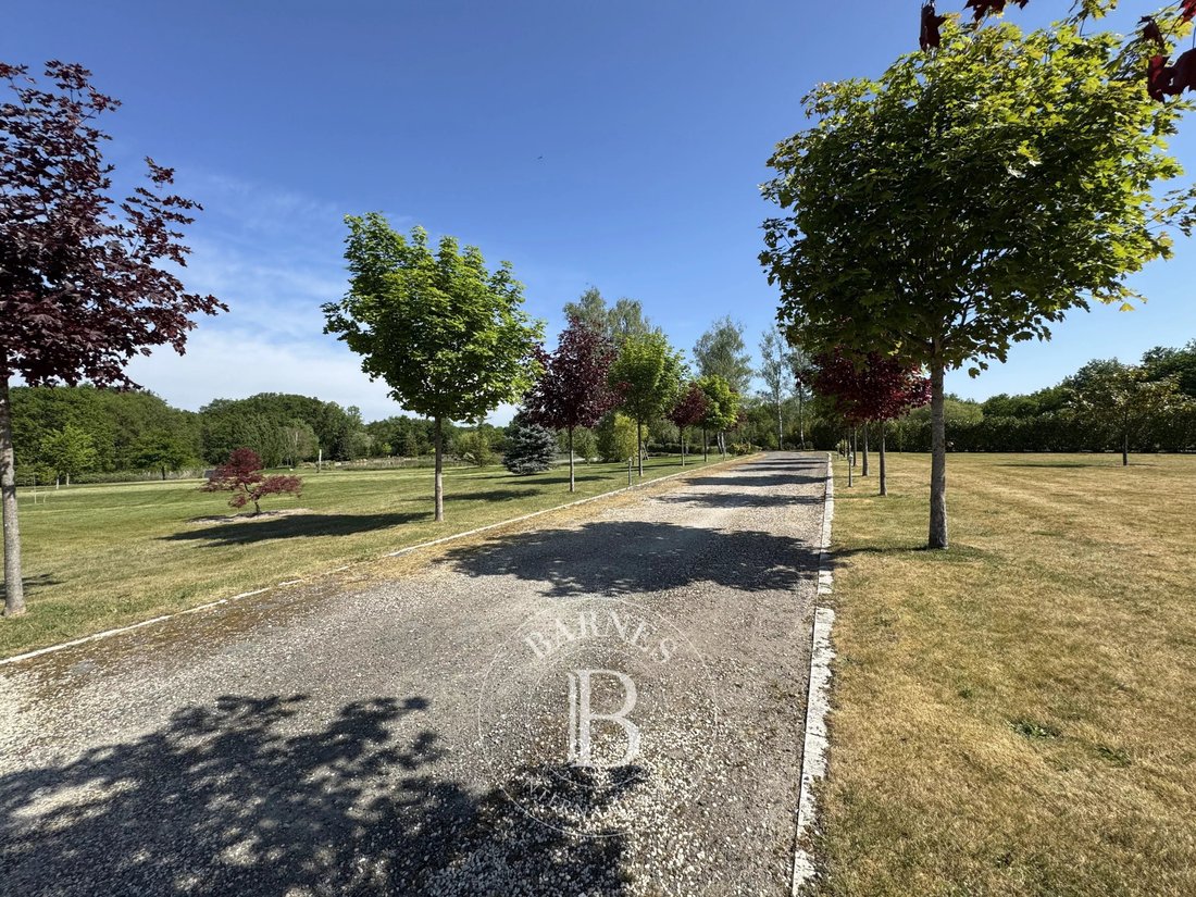 House in Vernou-en-Sologne, Centre-Val de Loire, France 5 - 15873249
