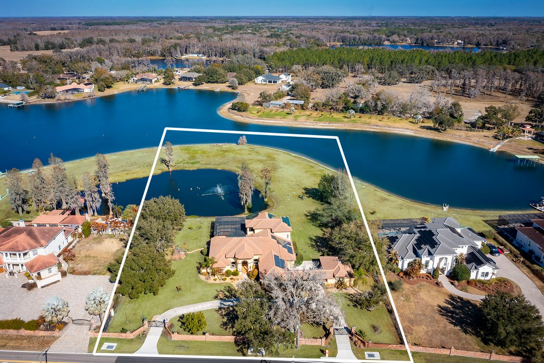 House in Odessa, Florida, United States 3 - 17324143