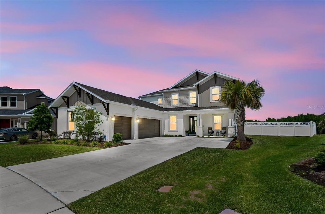 House in Wesley Chapel, Florida, United States 3 - 17795108