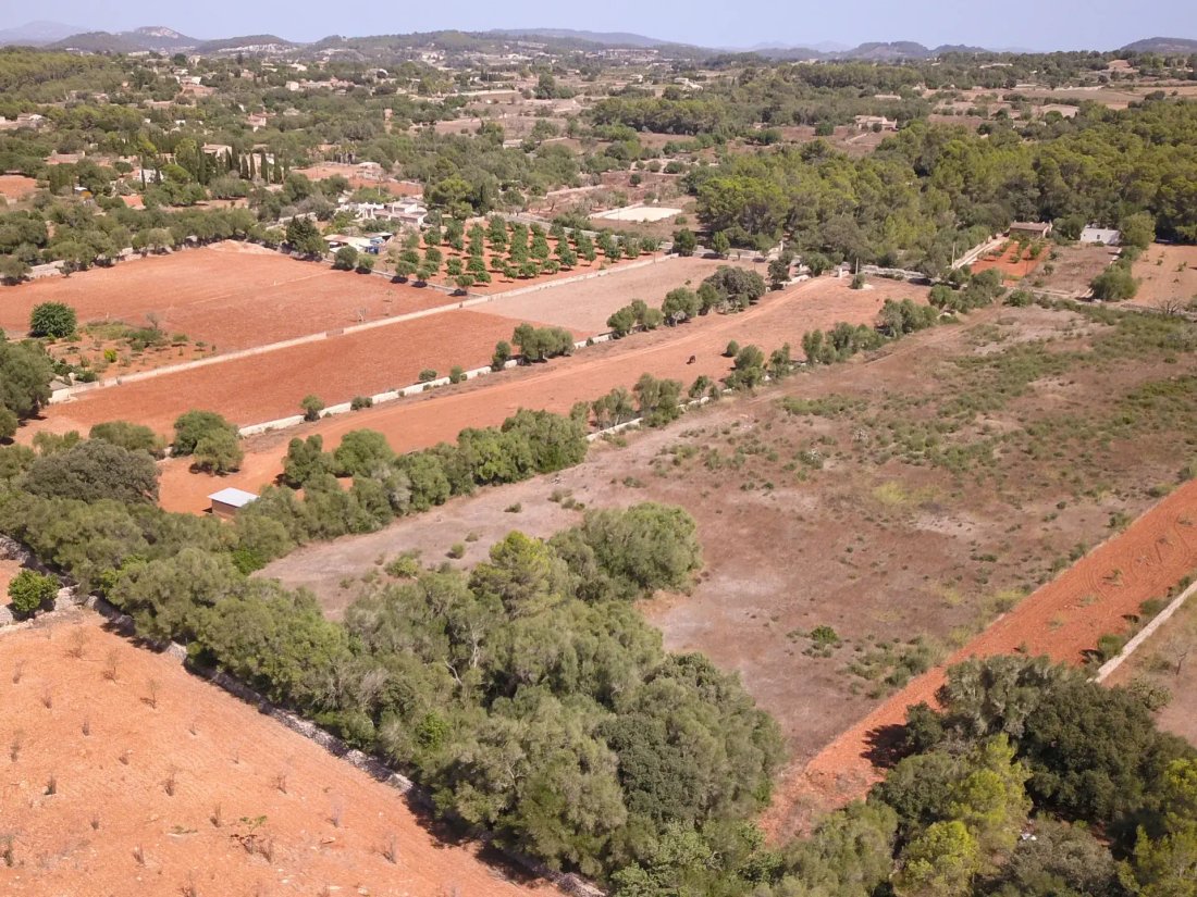 Finca in Algaida, Balearic Islands, Spain 5 - 17795411