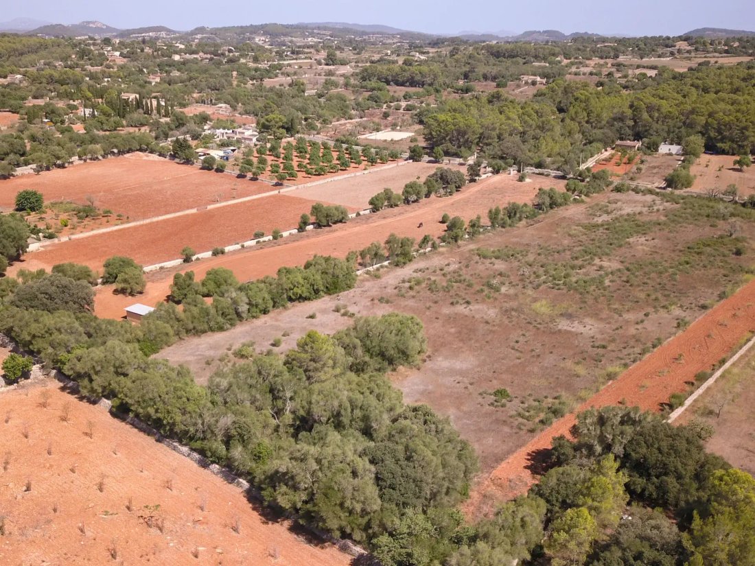 Land in Algaida, Balearic Islands, Spain 4 - 17795204