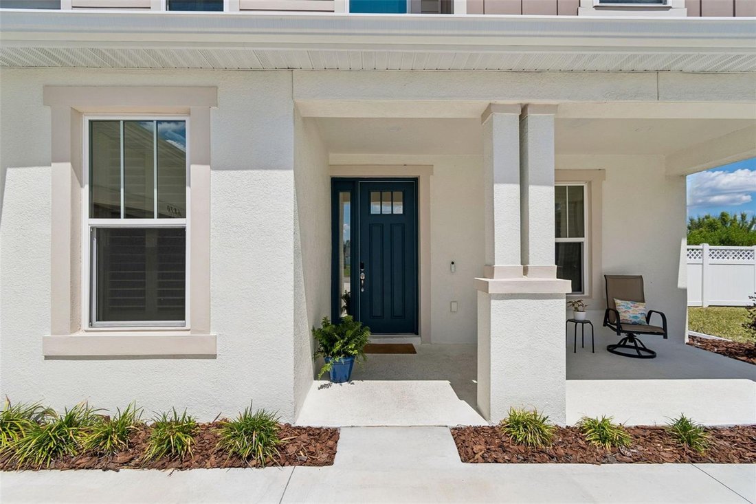 House in Wesley Chapel, Florida, United States 5 - 17795108