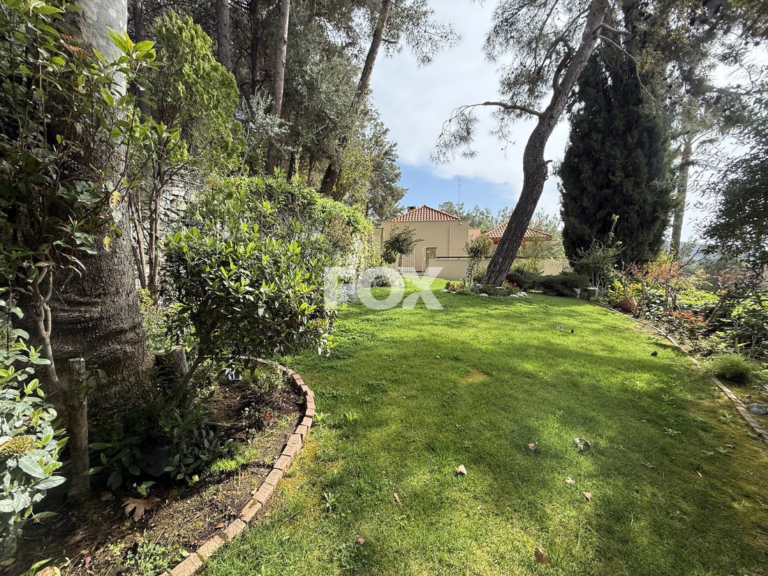 Villa in Moniatis, Limassol, Cyprus 3 - 17797669