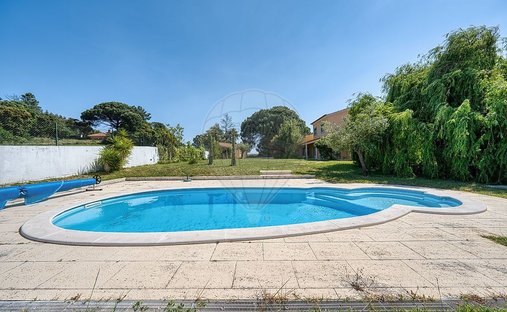 Haus in Sao Joao da Ribeira e Ribeira de Sao Joao, Distrikt Santarém, Portugal 1