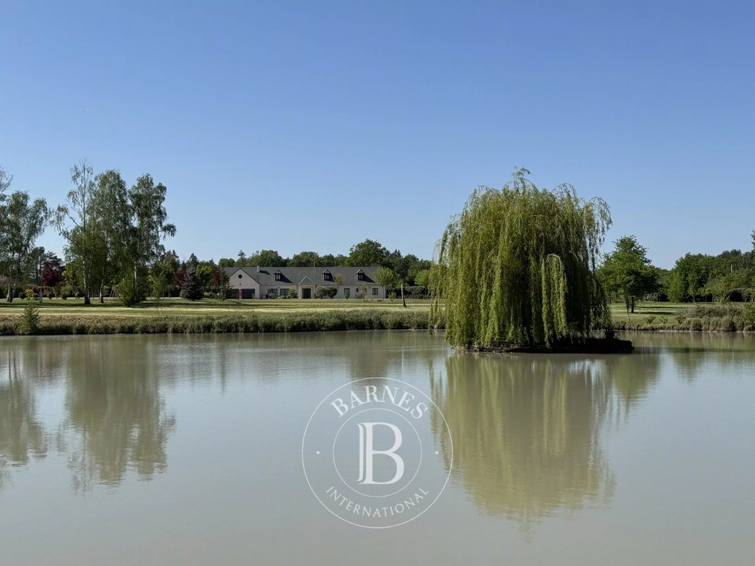 House in Vernou-en-Sologne, Centre-Val de Loire, France 1 - 15873249