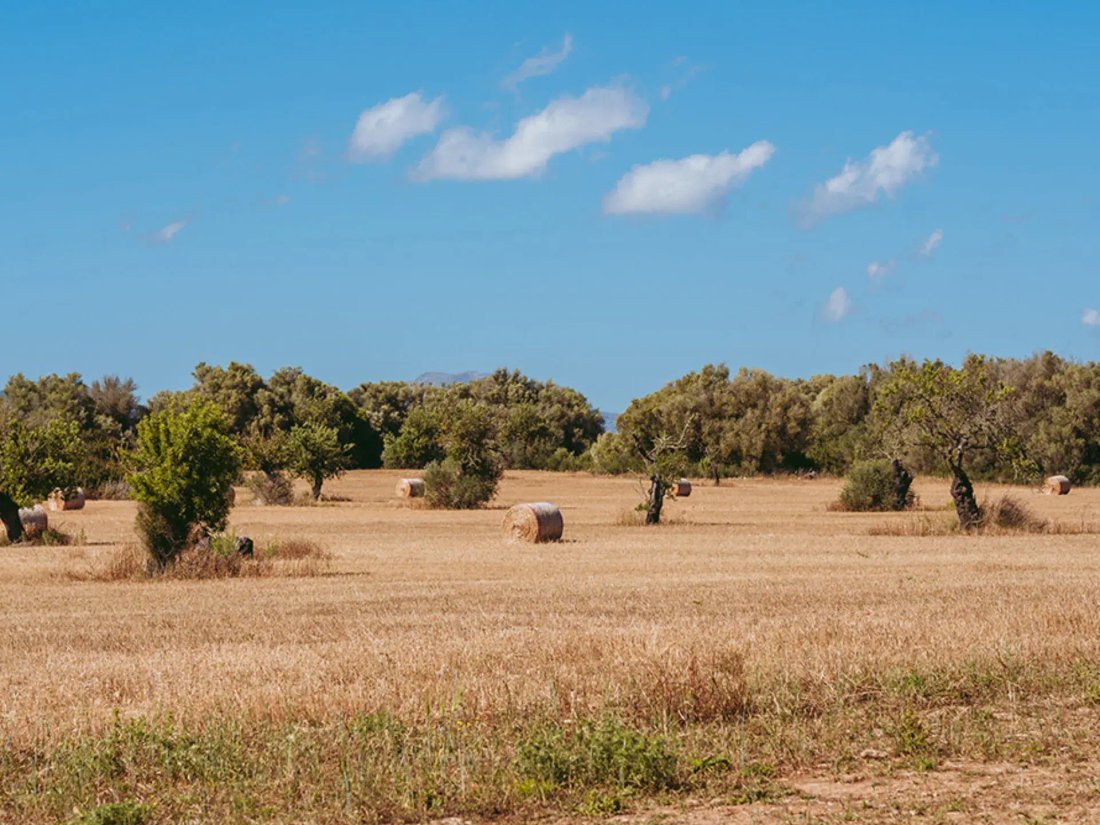 Finca in Algaida, Balearic Islands, Spain 1 - 17795411