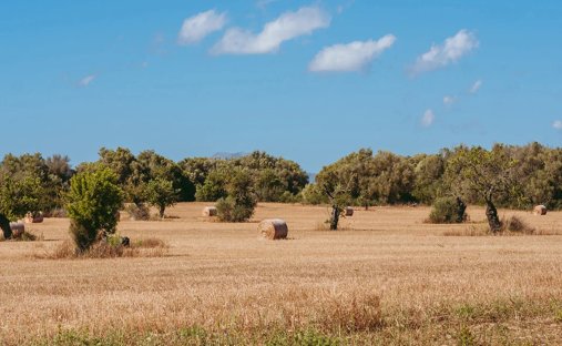 Finca à Algaida, Îles Baléares, Espagne 1