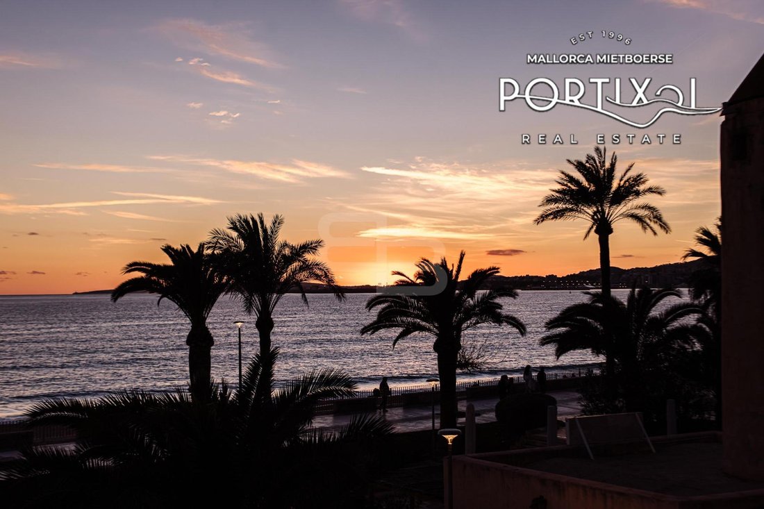 Apartment in Palma, Balearic Islands, Spain 1 - 17795608