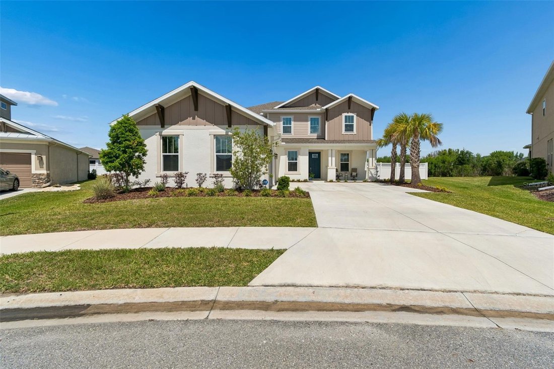 House in Wesley Chapel, Florida, United States 1 - 17795108