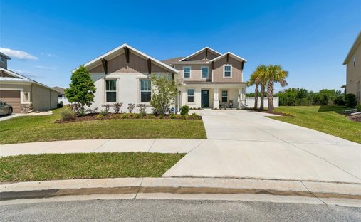 House in Wesley Chapel, Florida, United States 1