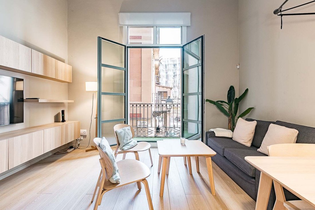Apartment in Ciutat Vella, Barcelona, Spain 3 - 17646278