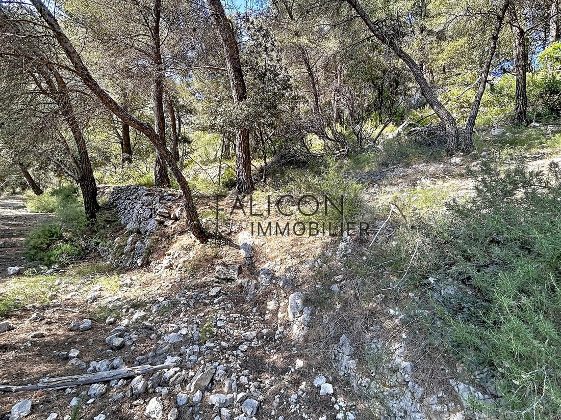 Land in Falicon, Provence-Alpes-Côte d'Azur, France 5 - 17797422