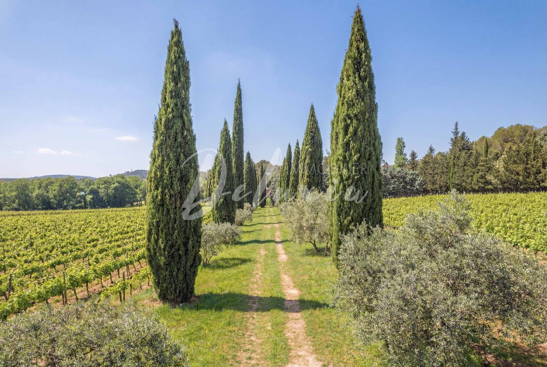 Estate in Villecroze, Provence-Alpes-Côte d'Azur, France 4 - 17799519