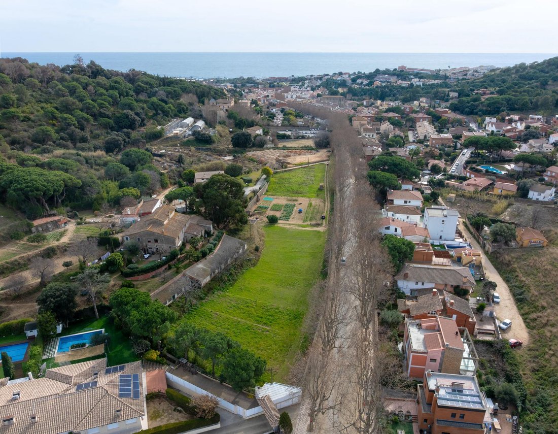 Land in Teia, Catalonia, Spain 5 - 16987543