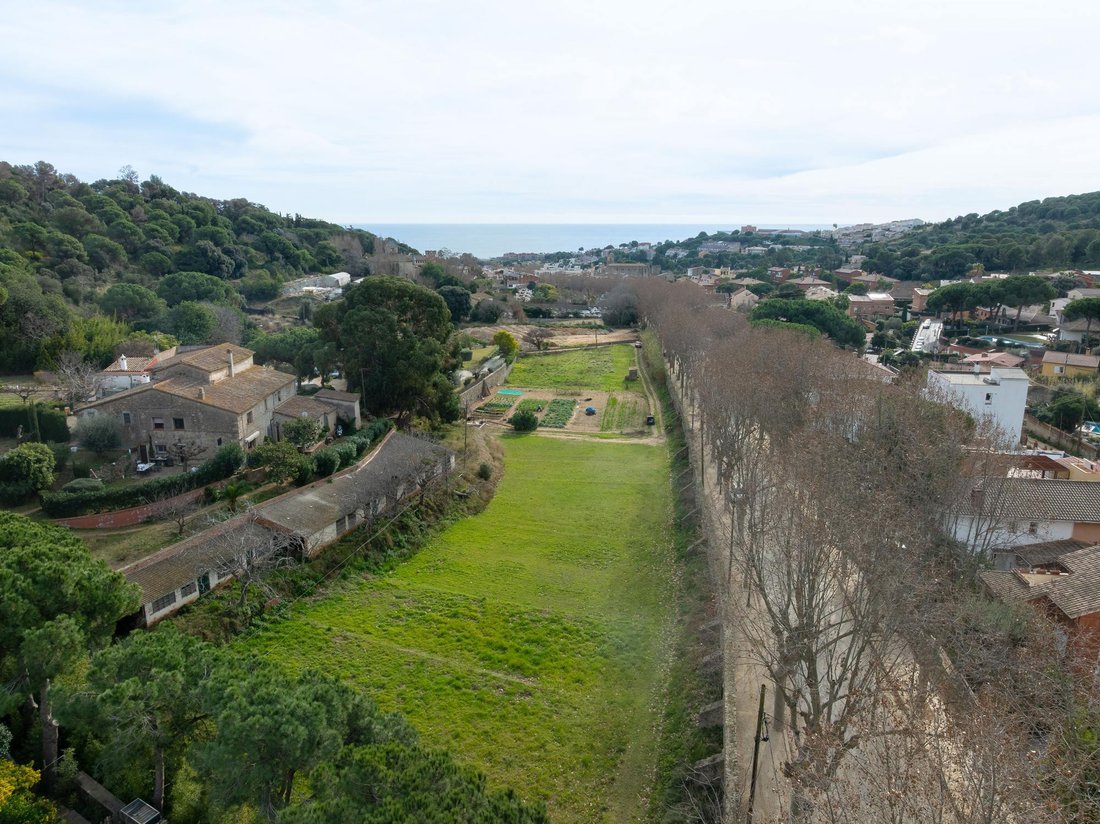 Land in Teia, Catalonia, Spain 2 - 16987543