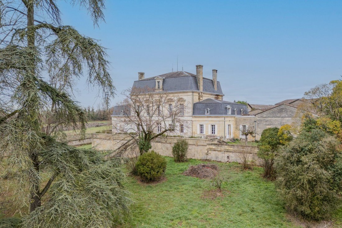 Chateau in Montagne, Nouvelle-Aquitaine, France 2 - 17796699