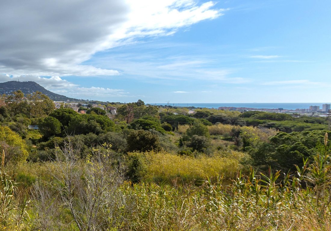 Land in Premia de Dalt, Catalonia, Spain 5 - 17435979