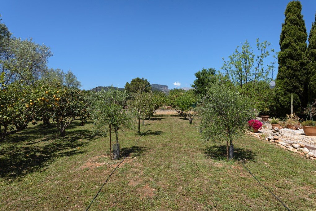 Country House in Binissalem, Balearic Islands, Spain 4 - 17797775