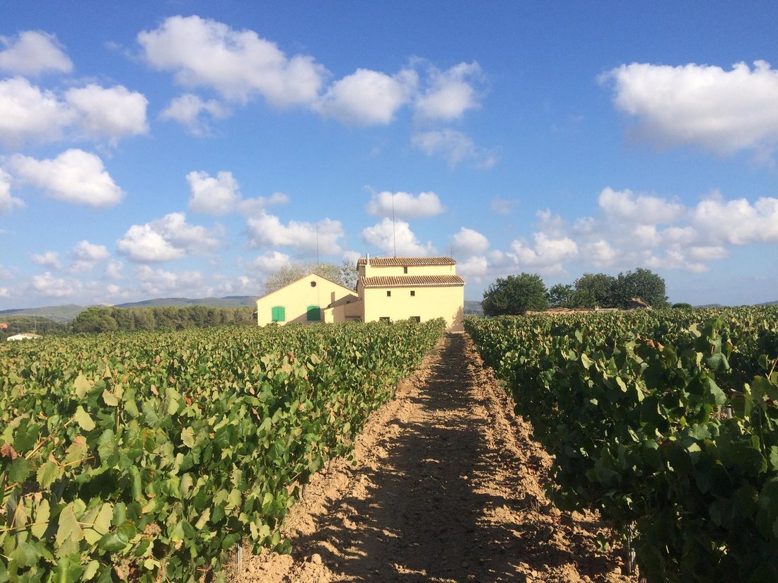 Country House in Canyelles, Catalonia, Spain 5 - 16988438
