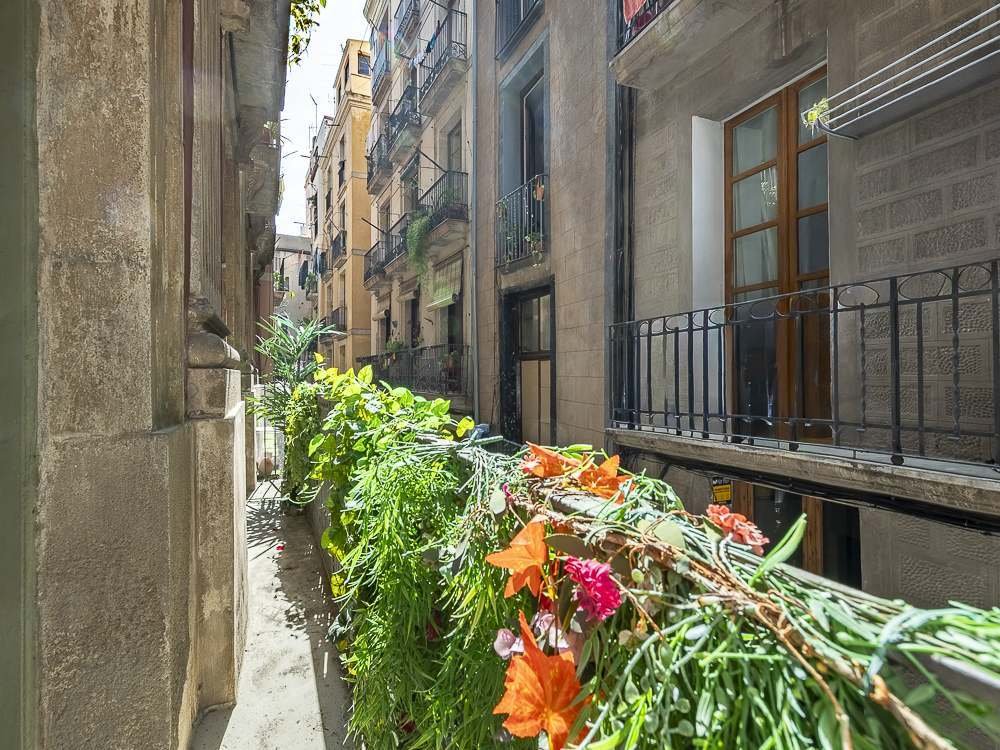Apartment in Ciutat Vella, Barcelona, Spain 2 - 17648424