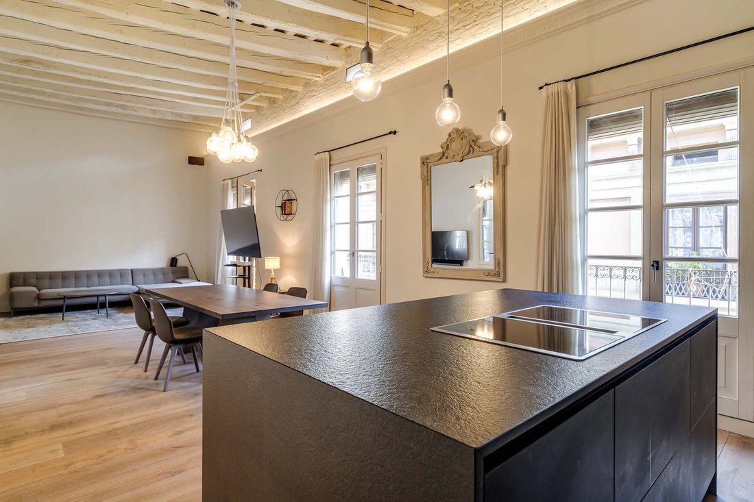 Apartment in Ciutat Vella, Barcelona, Spain 1 - 17629618
