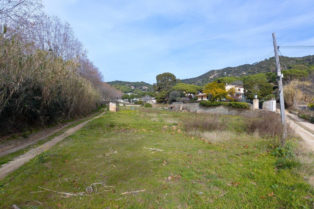 Land in Teia, Catalonia, Spain 4 - 16987543