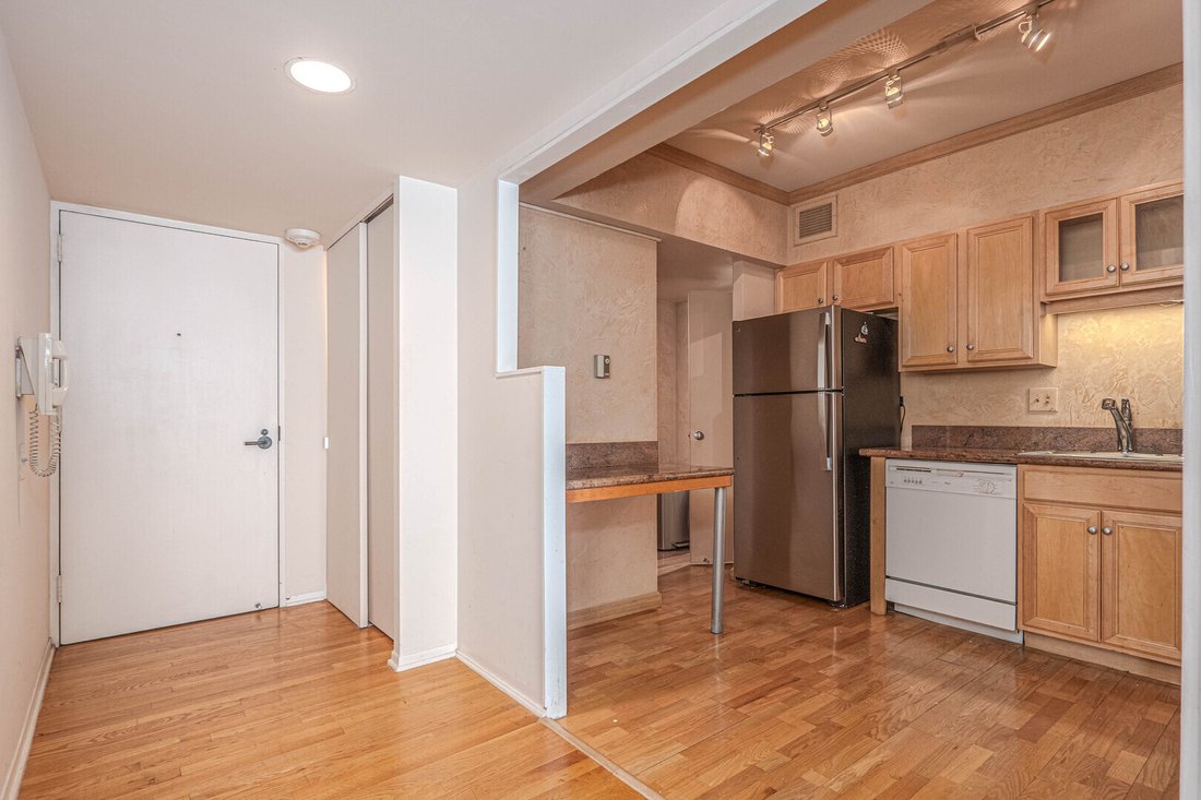 Condo in Chicago, Illinois, United States 2 - 17799837