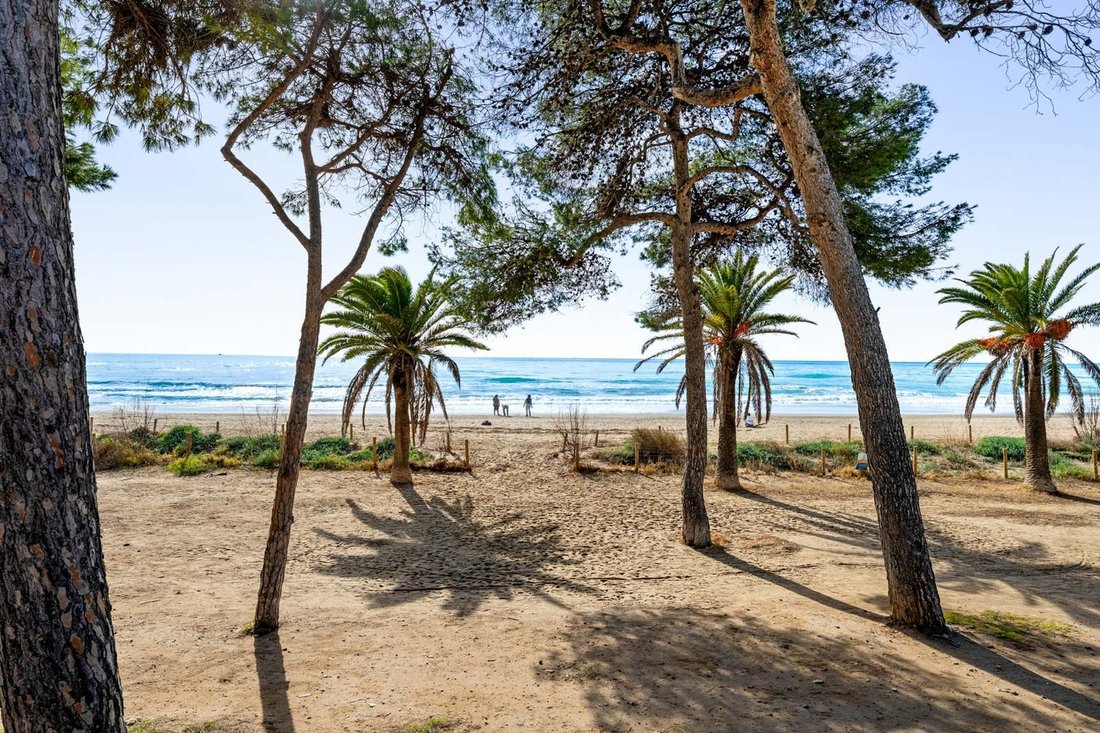 Apartment in Altafulla, Catalonia, Spain 3 - 17730702
