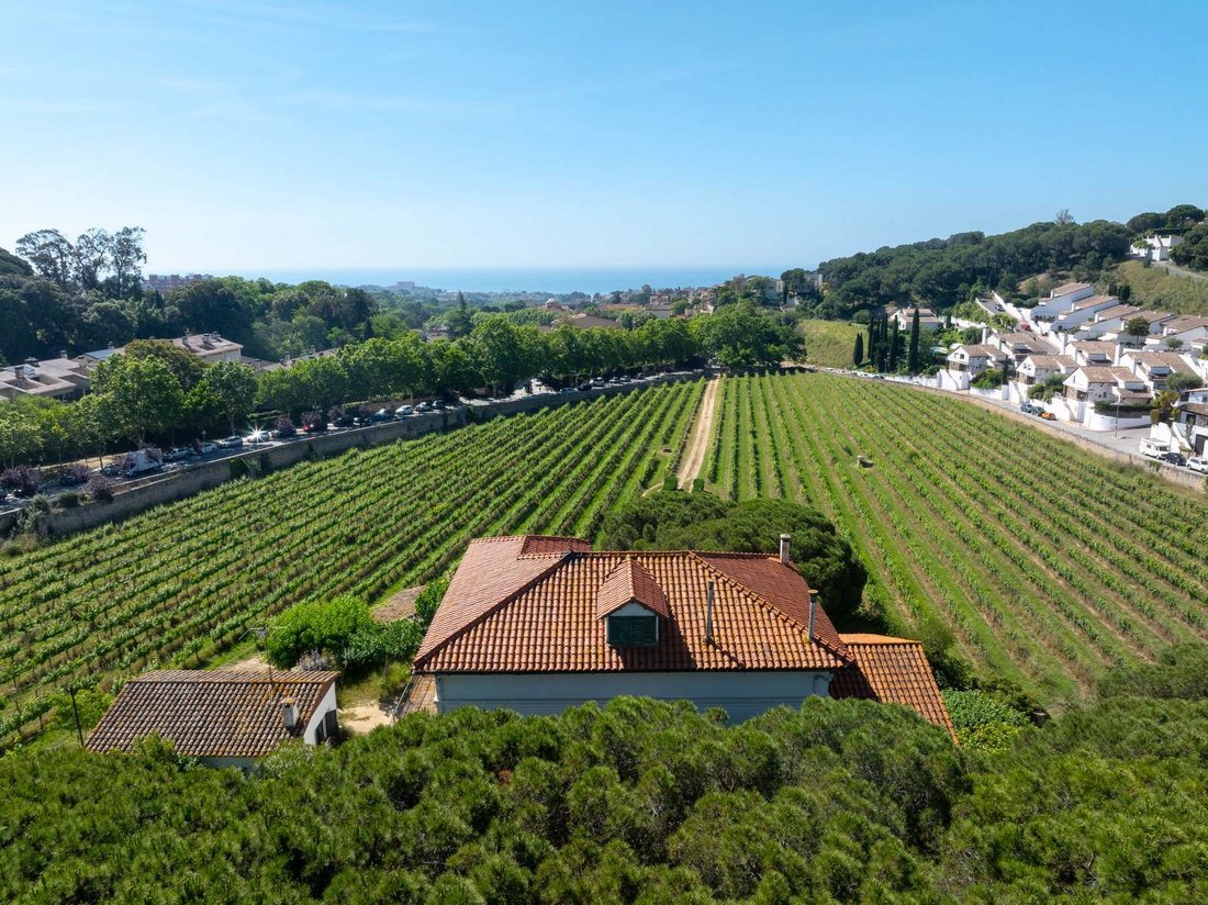 Country House in Alella, Catalonia, Spain 5 - 16988768