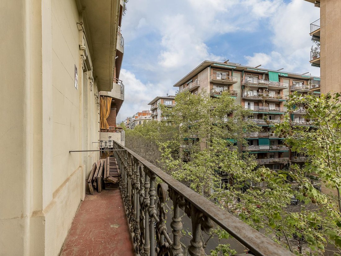 Apartment in Eixample, Barcelona, Spain 5 - 16563195