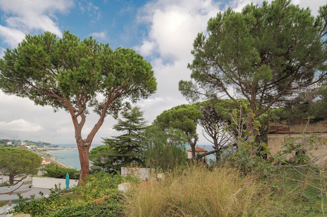 Land in Arenys de Mar, Catalonia, Spain 5 - 16988914