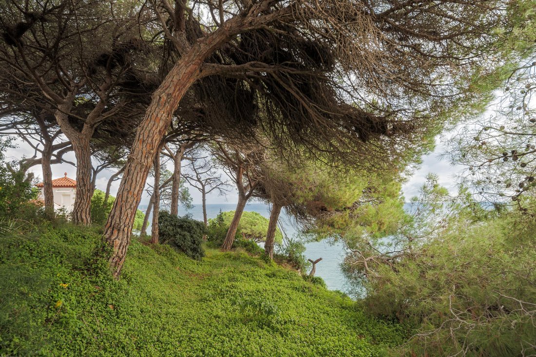 Land in Arenys de Mar, Catalonia, Spain 4 - 16988914