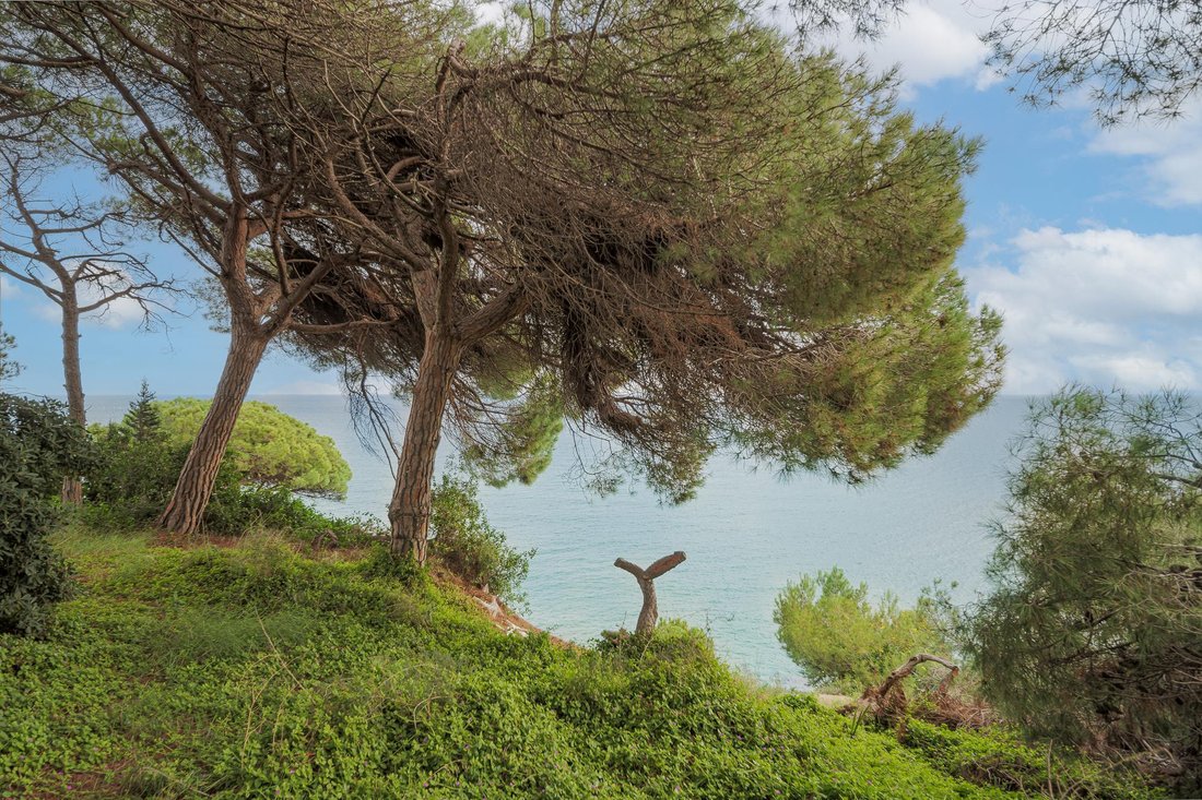 Land in Arenys de Mar, Catalonia, Spain 2 - 16988914