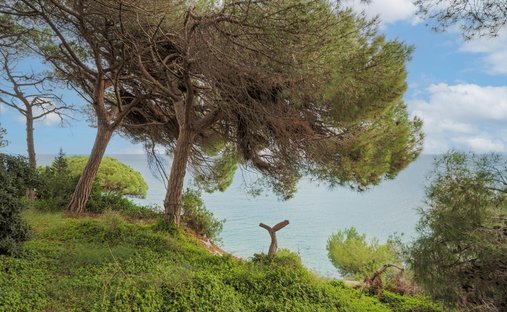 Terreno a Arenys de Mar, Catalogna, Spagna 1