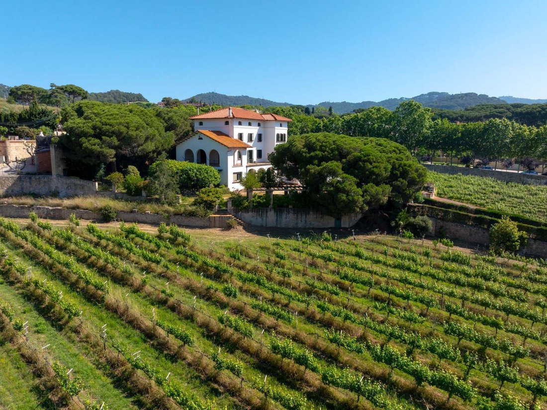 Country House in Alella, Catalonia, Spain 4 - 16988768