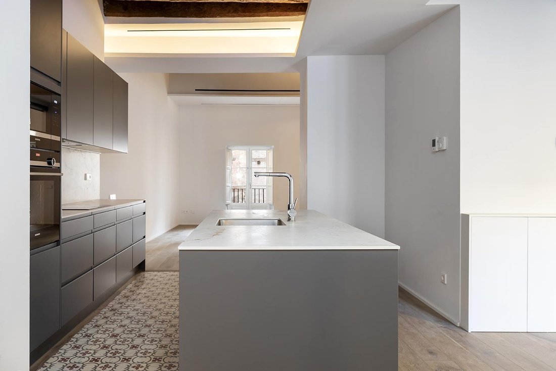 Apartment in Ciutat Vella, Barcelona, Spain 4 - 14280659