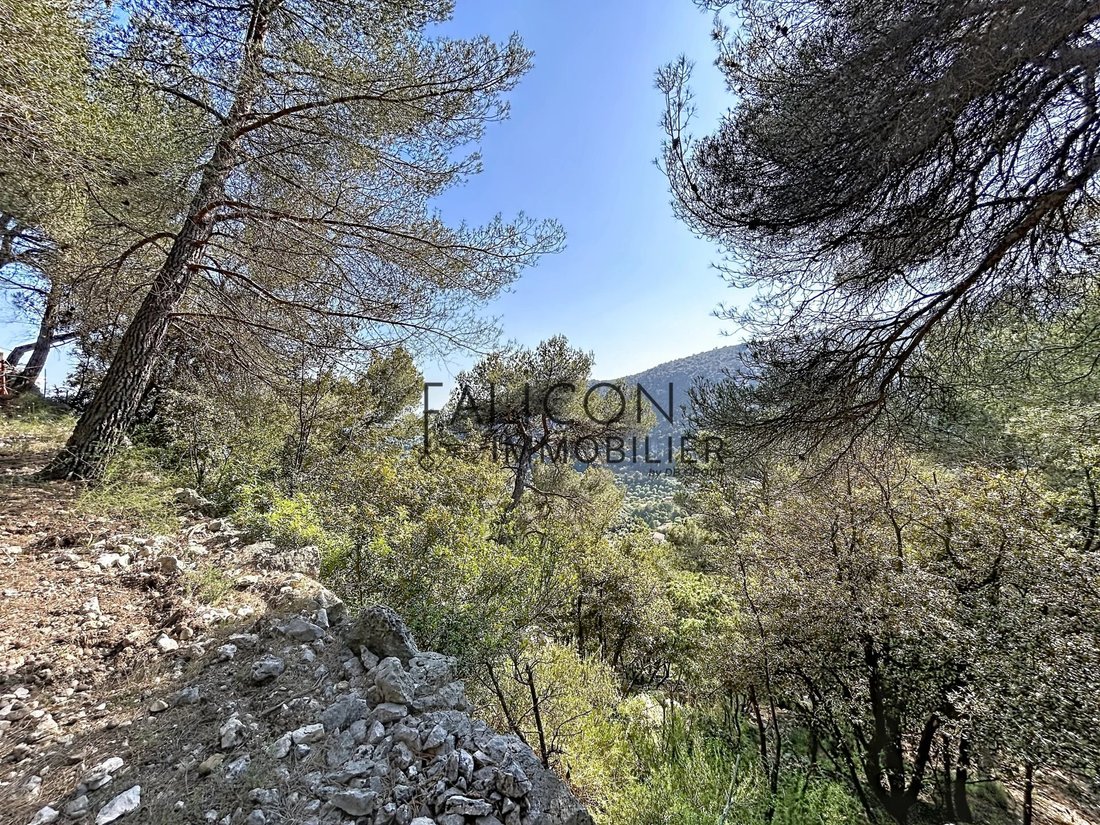Land in Falicon, Provence-Alpes-Côte d'Azur, France 1 - 17797422