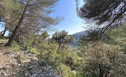 Land in Falicon, Provence-Alpes-Côte d'Azur, France 1