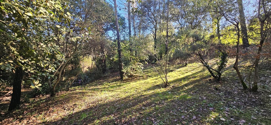 Land in Montferrier-sur-Lez, Occitania, France 5 - 17093999