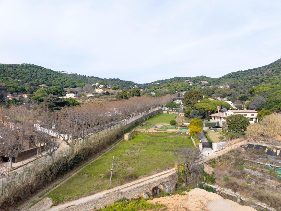 Land in Teia, Catalonia, Spain 3 - 16987543