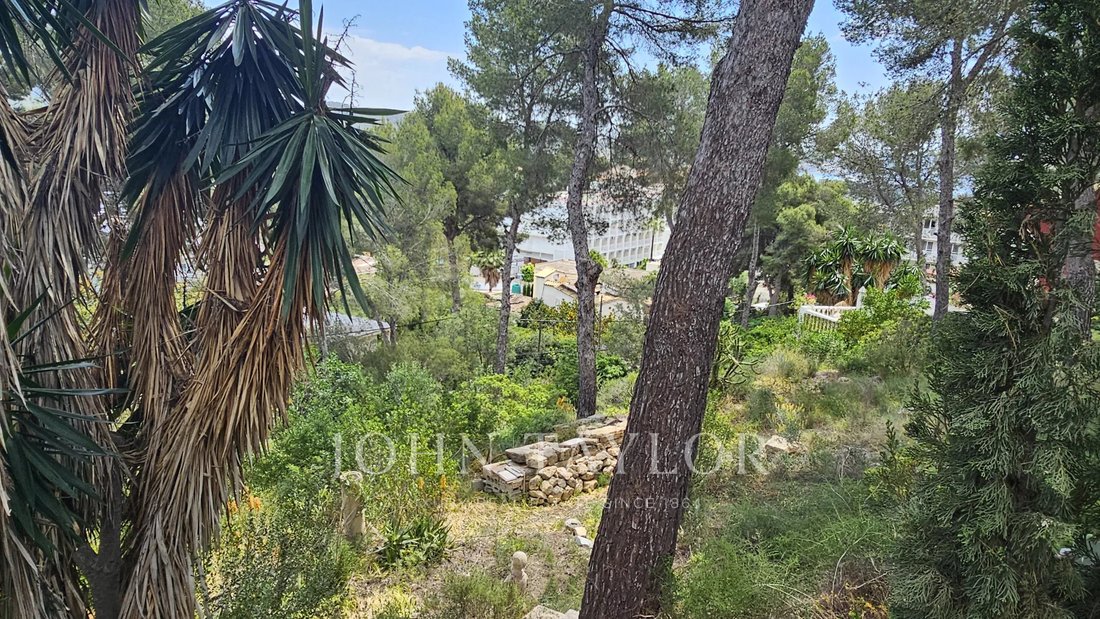 Terreno a Cala Fornells, Calvià, Isole Baleari 3 - 17797337