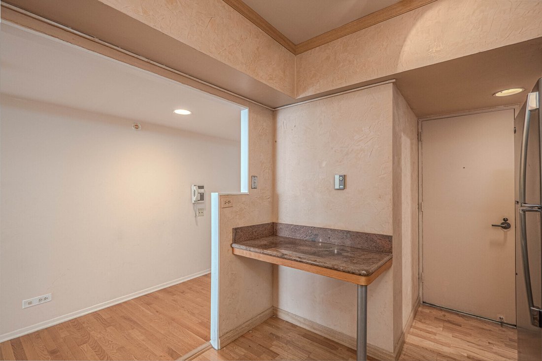 Condo in Chicago, Illinois, United States 5 - 17799837
