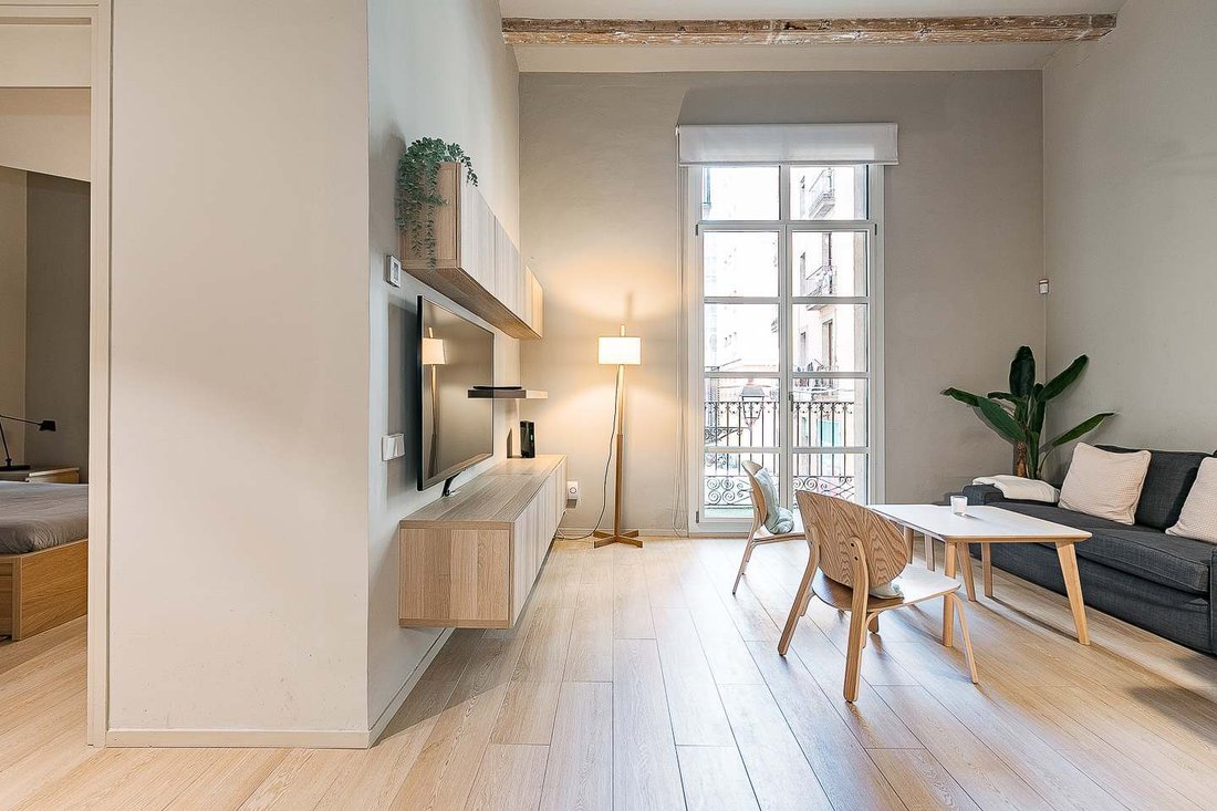 Apartment in Ciutat Vella, Barcelona, Spain 5 - 17646278