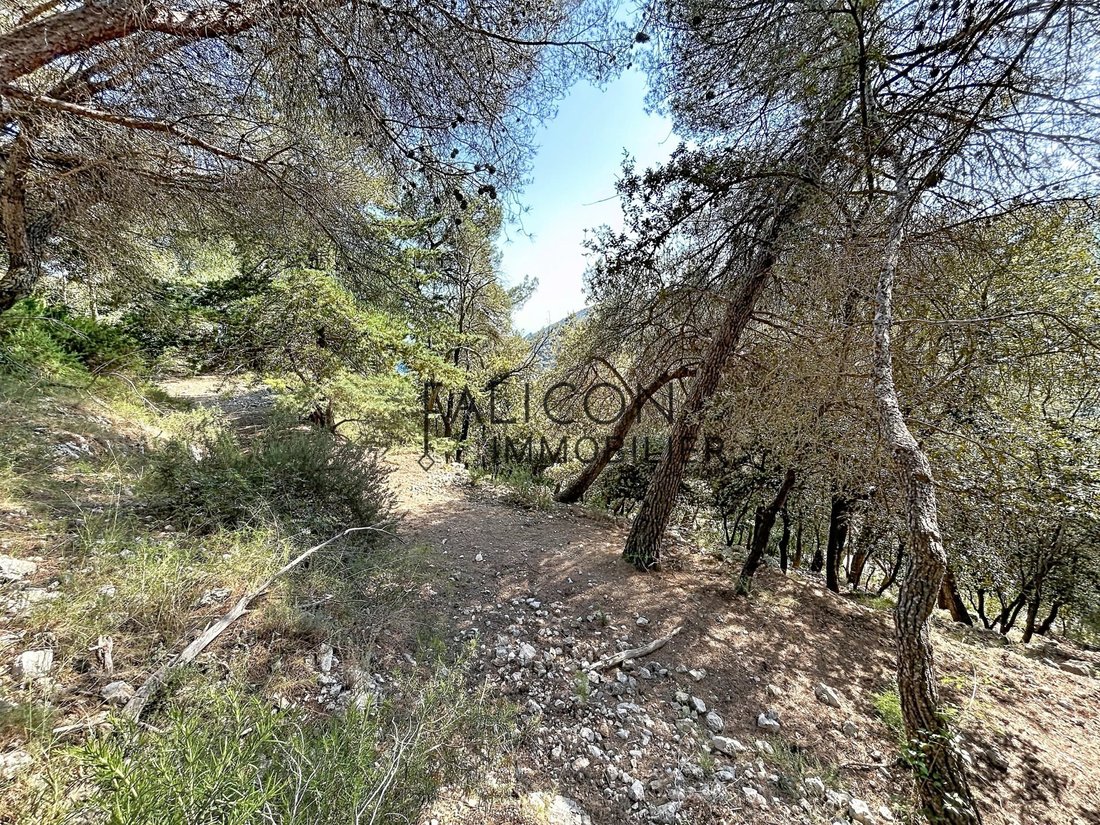 Land in Falicon, Provence-Alpes-Côte d'Azur, France 4 - 17797422